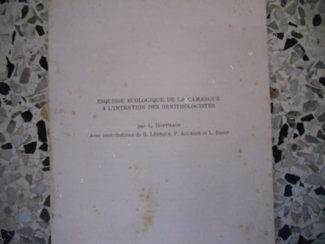Esquisse ecologique de la Camargue a l'intention des ornithologistes . L. Hoffmann - R. Leveque / P. Aguesse / L . Bigot 