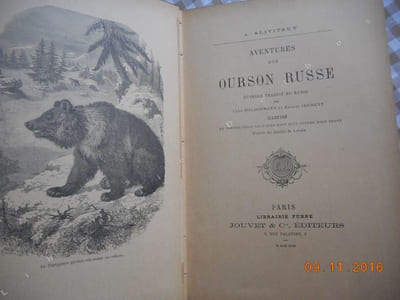 Aventures d'un ourson russe 