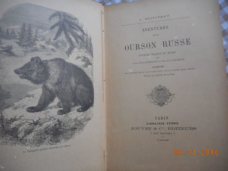 Aventures d'un ourson russe . A. Slivitsky