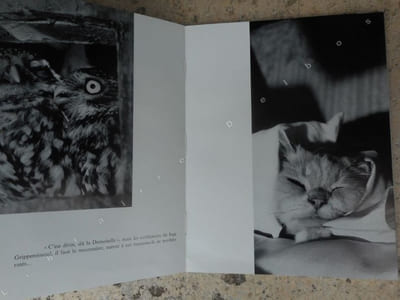 Le chat, la belette et le petit lapin