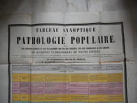 (Affiche) Tableau synoptique ou pathologie populaire contenant par categorie diostincte ... en attendant l'arrivee du medecin.