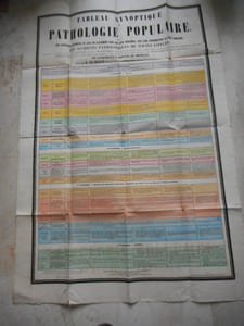 (Affiche) Tableau synoptique ou pathologie populaire contenant par categorie diostincte ... en attendant l'arrivee du medecin.