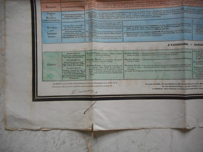 (Affiche) Tableau synoptique ou pathologie populaire contenant par categorie diostincte ... en attendant l'arrivee du medecin.