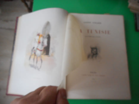 La Tunisie - Illustrée par l'auteur. Gaston VUILLIER