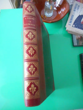 La Tunisie - Illustrée par l'auteur. Gaston VUILLIER