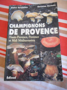 Champignons de Provence - Haute-provence, Provence et Midi Méditerranéen