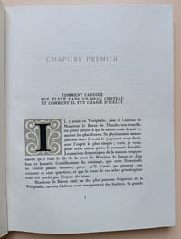Candide ou l’optimisme