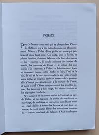 Chutt le Hutteux. Roman des roseaux et du marais picard