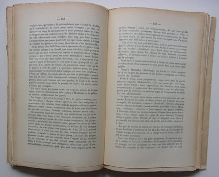 Vingt ans dans la brousse africaine. Souvenirs d'un ancien membre de la Mission Savorgnan de Brazza dans l'Ouest africain (1883-1903).. Veistroffer, ...