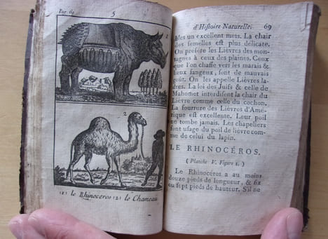 Extrait d'histoire naturelle, des quadrupèdes, reptiles, des poissons, et des oiseaux. Pour l'instruction de la jeunesse.. Buffon