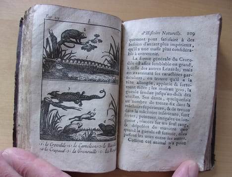 Extrait d'histoire naturelle, des quadrupèdes, reptiles, des poissons, et des oiseaux. Pour l'instruction de la jeunesse.. Buffon
