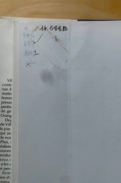Les Affiches de Villemot.. Bazin, Jean-François