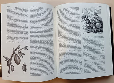Grand dictionnaire de cuisine. Dumas, Alexandre