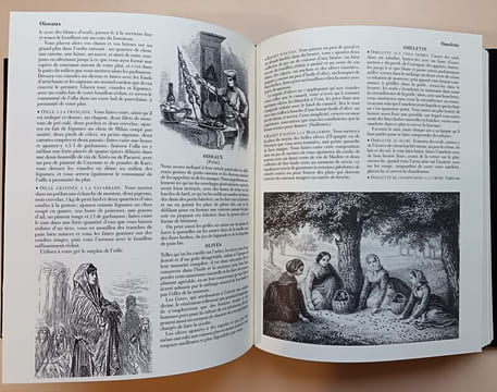 Grand dictionnaire de cuisine. Dumas, Alexandre