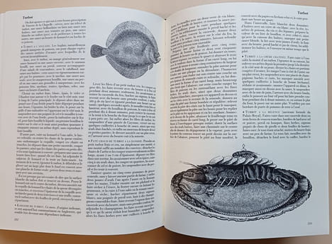 Grand dictionnaire de cuisine. Dumas, Alexandre