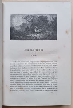 L'Histoire de France, depuis les temps les plus reculés jusqu'en 1789, racontée à mes petits enfants. (5 tomes) L'Histoire de France, depuis 1789 ...