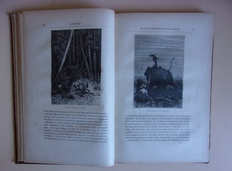 Aventures de trois Russes et de trois Anglais dans l'Afrique australe (aux initiales JV-JH).. Verne, Jules