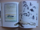Antarctide : Journal de bord d'un peintre dans les glaces.. Le Corre, Yvon