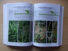 Flore et végétation de l'étang de Saint-Quentin-en-Yvelines et de ses abords : les plantes sauvages d'une zone humide francilienne héritée de louis ...