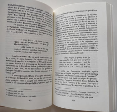 Lot de 7 livres sur les Hittites, comprenant : Les Hittites et leur histoire (trois volumes, 2007-2008). Histoire Du Mitanni, 2003 / Suppiluliuma et ...