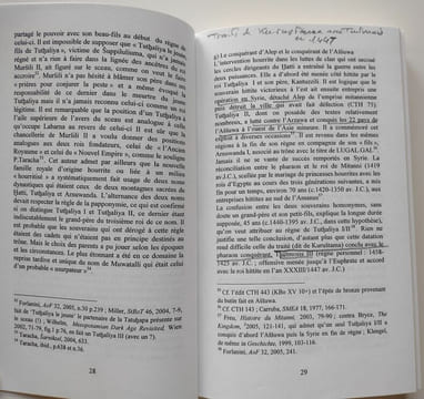 Lot de 7 livres sur les Hittites, comprenant : Les Hittites et leur histoire (trois volumes, 2007-2008). Histoire Du Mitanni, 2003 / Suppiluliuma et ...