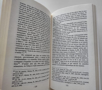 Lot de 7 livres sur les Hittites, comprenant : Les Hittites et leur histoire (trois volumes, 2007-2008). Histoire Du Mitanni, 2003 / Suppiluliuma et ...
