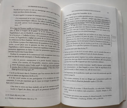 Lot de 7 livres sur les Hittites, comprenant : Les Hittites et leur histoire (trois volumes, 2007-2008). Histoire Du Mitanni, 2003 / Suppiluliuma et ...