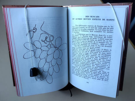 Le livre des confitures et des confiseries. D’après le cuisinier royal et bourgeois MDCCXII . Henry, Lucien (préface)