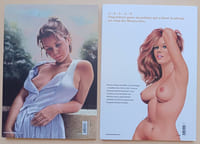 Pin-up & Pin-up femme-objet. (inclus le carnet X d'Aslan)