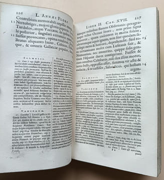 L. A. Florus cum notis integris C. L. Salmasii et selectissimis variorum accurante S. M. D. C. additus etiam L. Ampelius ex Bibliotheca Cl. Salmasii.. ...