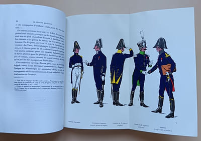 La Croatie militaire (1809-1813) : Les régiments croates à la Grande Armée.