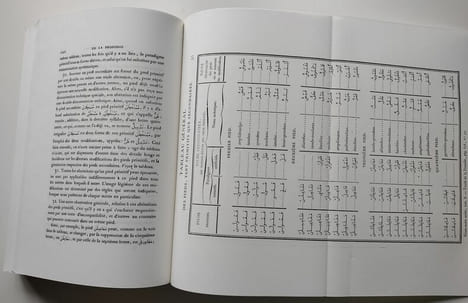 Grammaire arabe à l’usage des élèves de l’école spéciale des langues orientales vivantes. [2 Tomes] . Silvestre de Sacy, Antoine