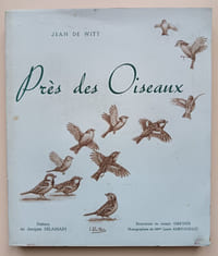 Près des oiseaux