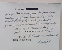 Près des oiseaux