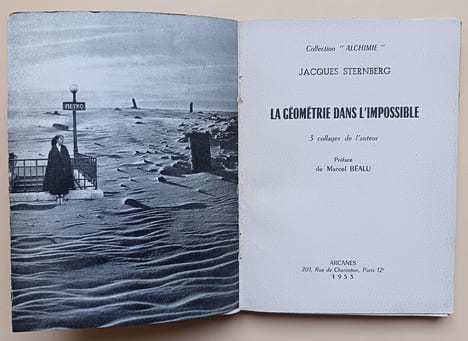 La géométrie dans l’impossible. Sternberg, Jacques