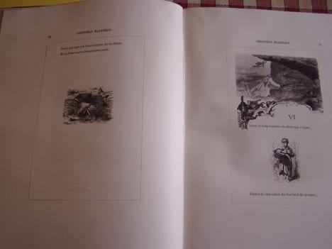 Grenoblo malherou. Poesies en patois du Dauphine. Dessins de D. Rahoult, gravures de F. Dardelet. Preface de George Sand, RAHOULT ET DARDELET ...