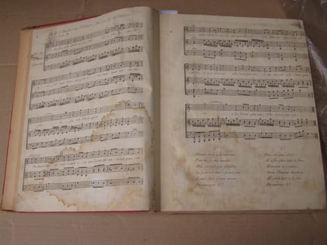 Feuilles de Terpsichore, ou Journal composé d'ouvertures, d'airs arrangés et d'airs avec accompagnement pour le clavecin. année 2, du no. 1 a 52 - ...