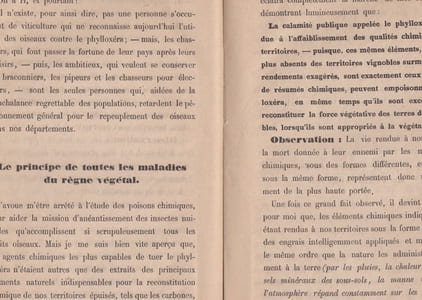 Traitement général pour la destruction du phylloxéra d'après la connaissance exacte des causes de sa présence - solution.