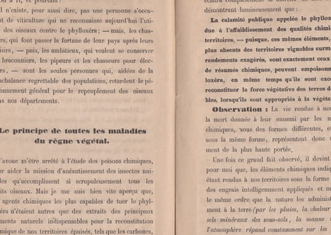 Traitement général pour la destruction du phylloxéra d'après la connaissance exacte des causes de sa présence - solution.. Mazaroz J.-P.