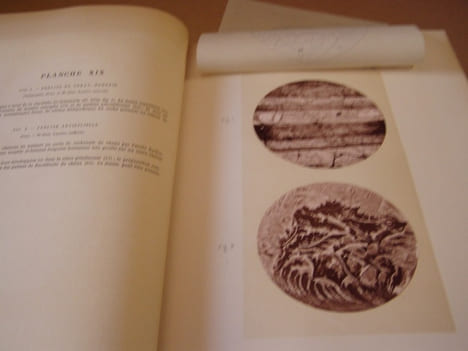 Minéralogie micrographique, Roches eruptives francaises,complet en 2 volumes texte et planches,relié avec Fossiles caractéristiques des terrains ...