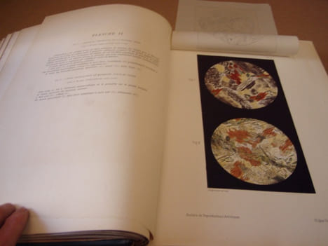Minéralogie micrographique, Roches eruptives francaises,complet en 2 volumes texte et planches,relié avec Fossiles caractéristiques des terrains ...