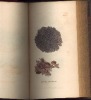 ENGLISH BOTANY or coloured figures of British plants - CRYPTOGAMIA LICHENS. SOWERBY James- 