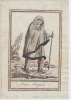 homme OSTYACK. GRASSET de SAINT SAUVEUR Jacques (GRAVURE)