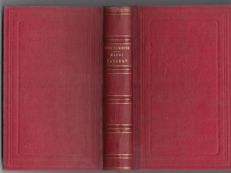 MABEL VAUGHAN- Mabel Vaughan (...) Roman anglais traduit avec l'autorisation de l'Auteur par M.me Henriette Loreau. Publication de Ch. Lahure. . Miss ...