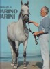Vingtieme Siecle, Hommage à Marino Marini,Revue XXe siècle, numéro spécial publié hors abonnement.. Vingtieme Siecle N  (Ed. G. Di San Lazzaro)