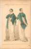 WALKING Fashions to be worn in December 1808, from La Belle Assemblee. La Belle Assemblée or, Bell's Court and Fashionable Magazine Addressed ...