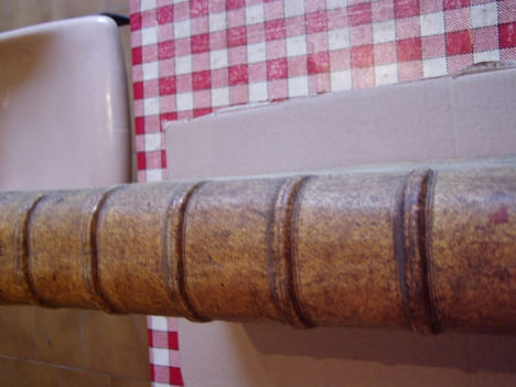 D. Andreae Alciati Mediolanensis jureconsulti celeberrimi responsa, libris novem digesta .. ALCIAT, Andreas,Andreas Alciatus