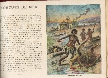 Album du petit voyageur illustré.. Anonyme