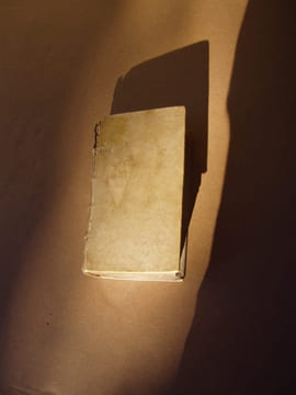 Abrege de l'histoire de Provence contenant plusieurs mémoires qui ont ete inconnus aux Auteurs qui ont écrit de l'Histoire de ce Pais.TOME 1 seul;. ...