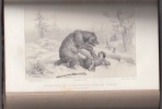 Journal des chasseurs, octobre 1845 à Septembre 1846. Journal des chasseurs,